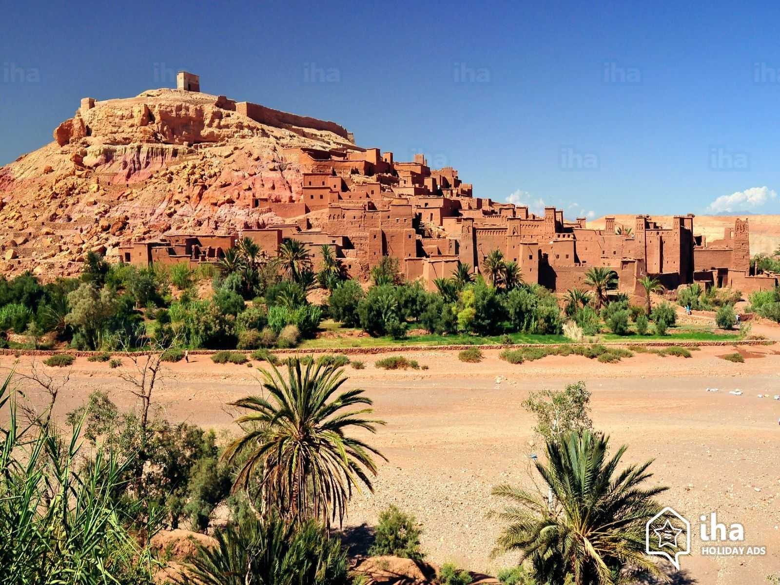 fint oasis morocco