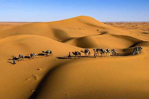 4 Days Essaouira Desert Tour