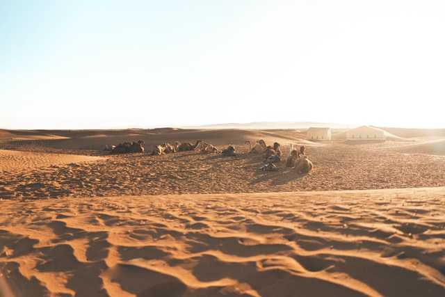 Agafay Desert day trip from Marrakech