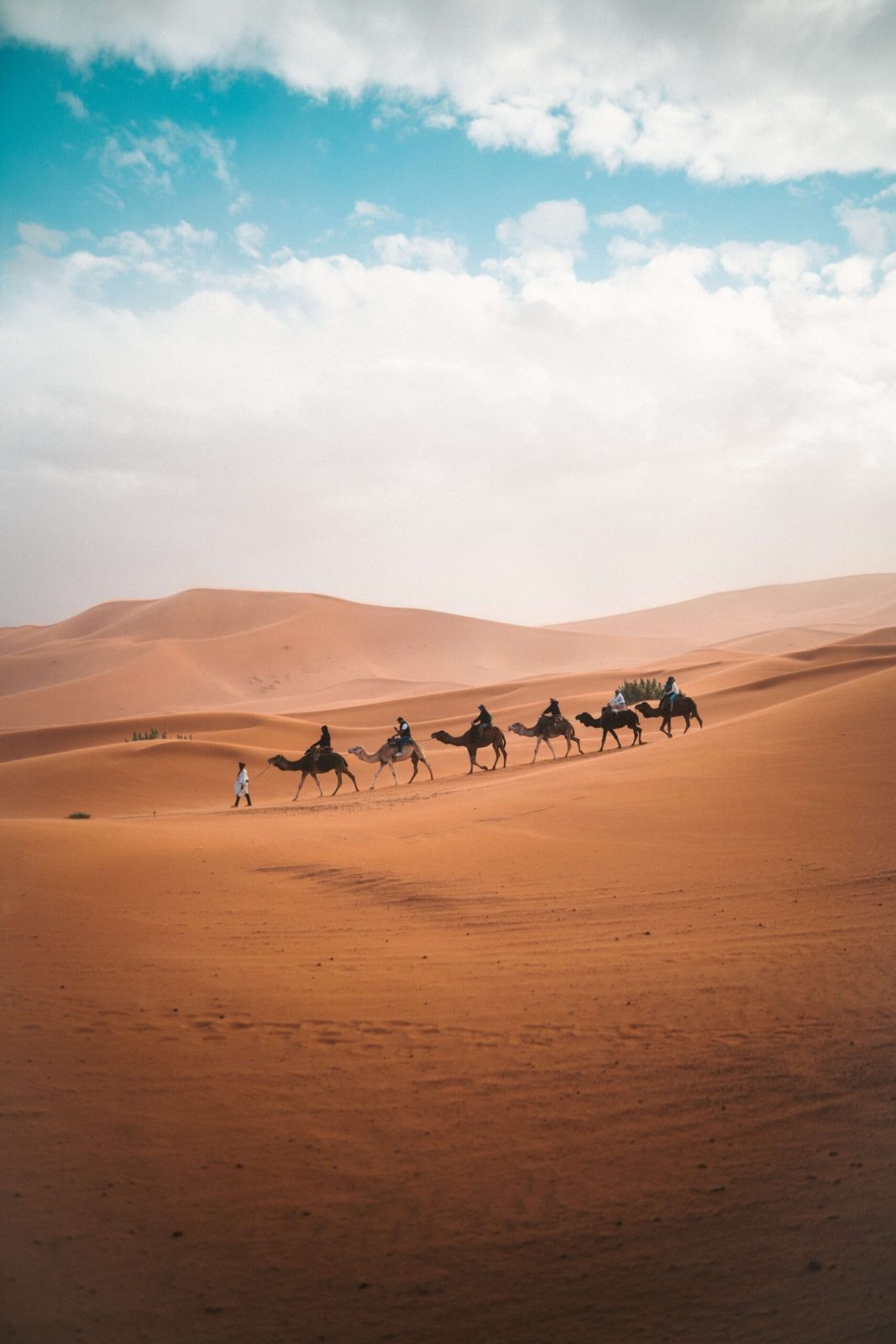 Marrakech Desert Tours 6 Days