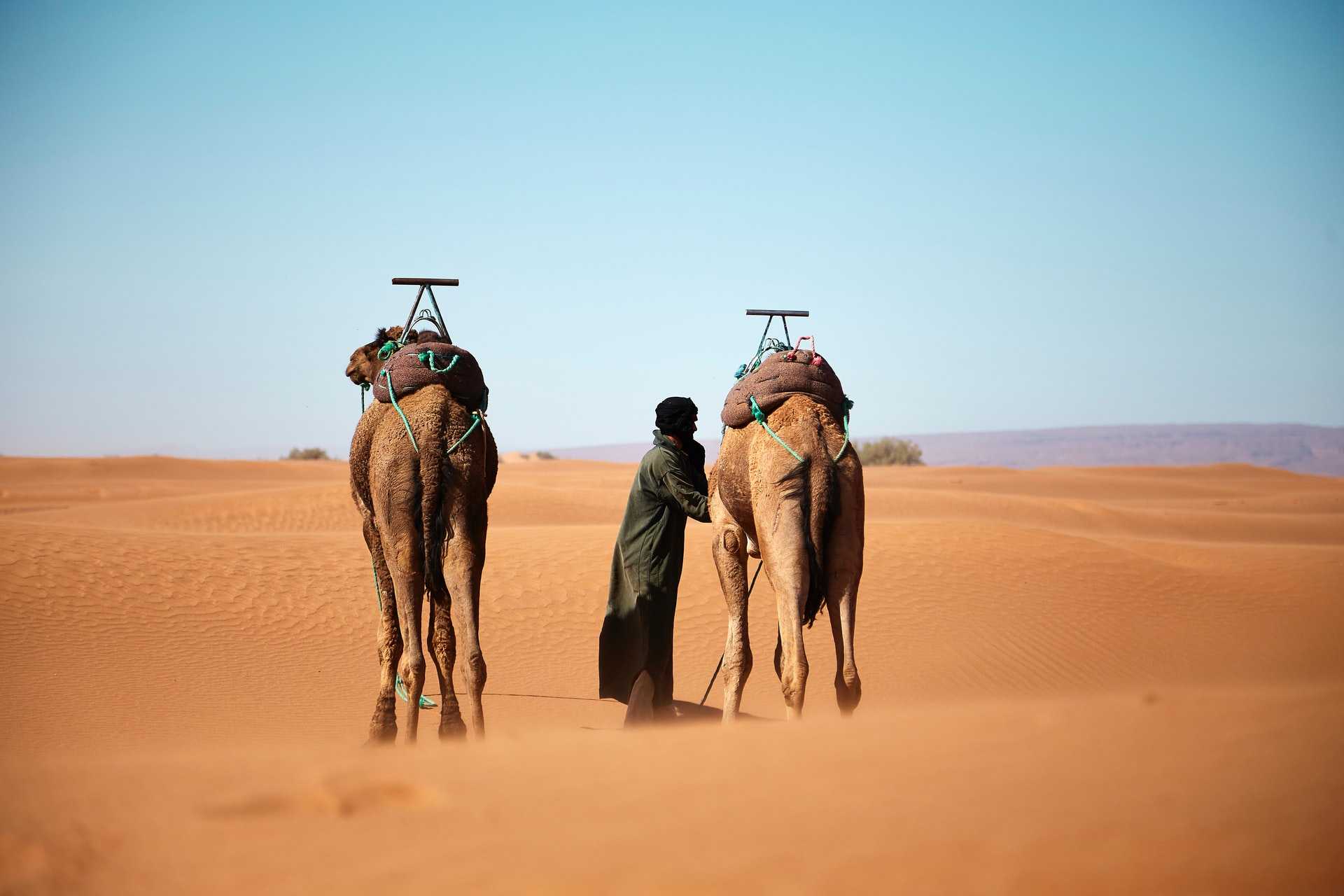 Marrakech To Fes Desert Tours 4 Days