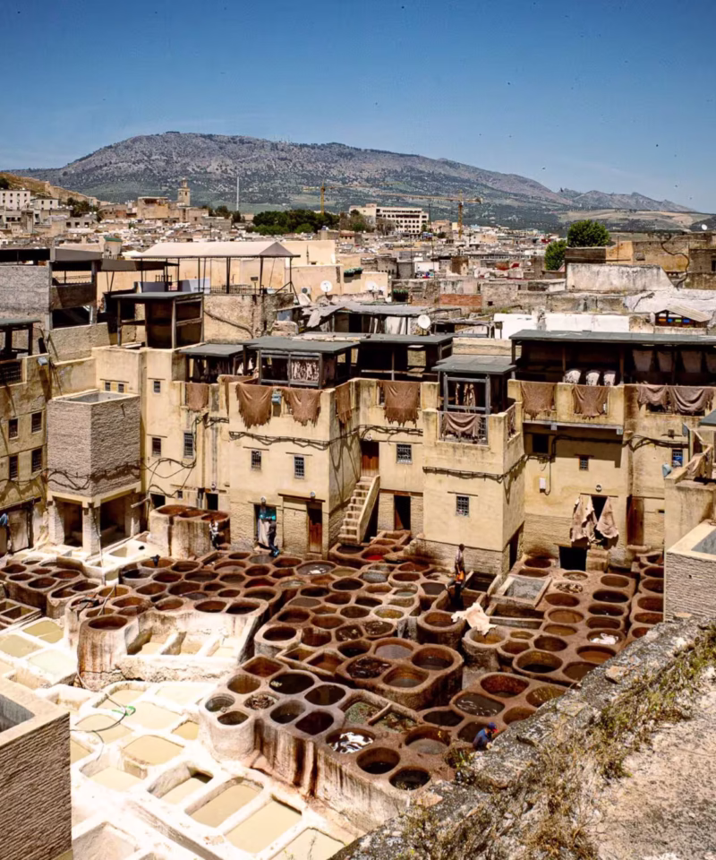 Day Trips from Casablanca To Fes