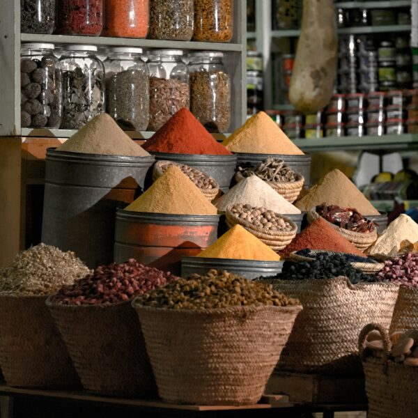 Day Trip From Casablanca To Marrakech
