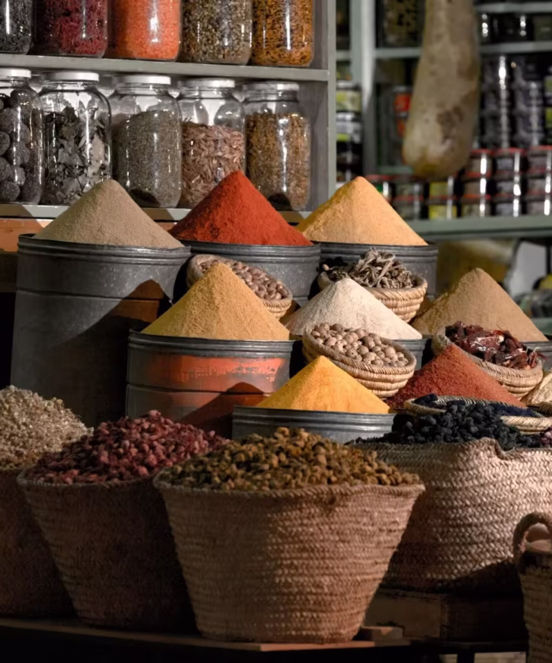 Day Trip From Casablanca To Marrakech