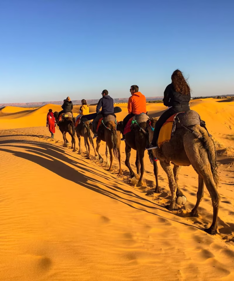 Group Tour Marrakech To Fes 3 Days