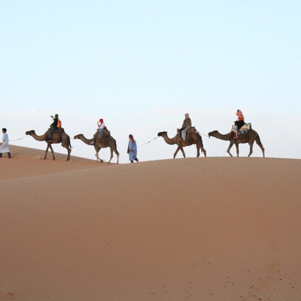 Erg Chigaga Luxury Desert Tour From Marrakech