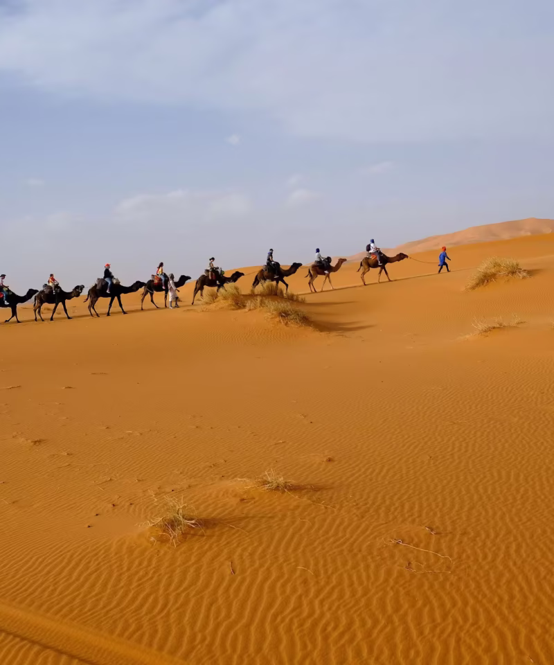 Individual 4 Days Tour Marrakech to desert