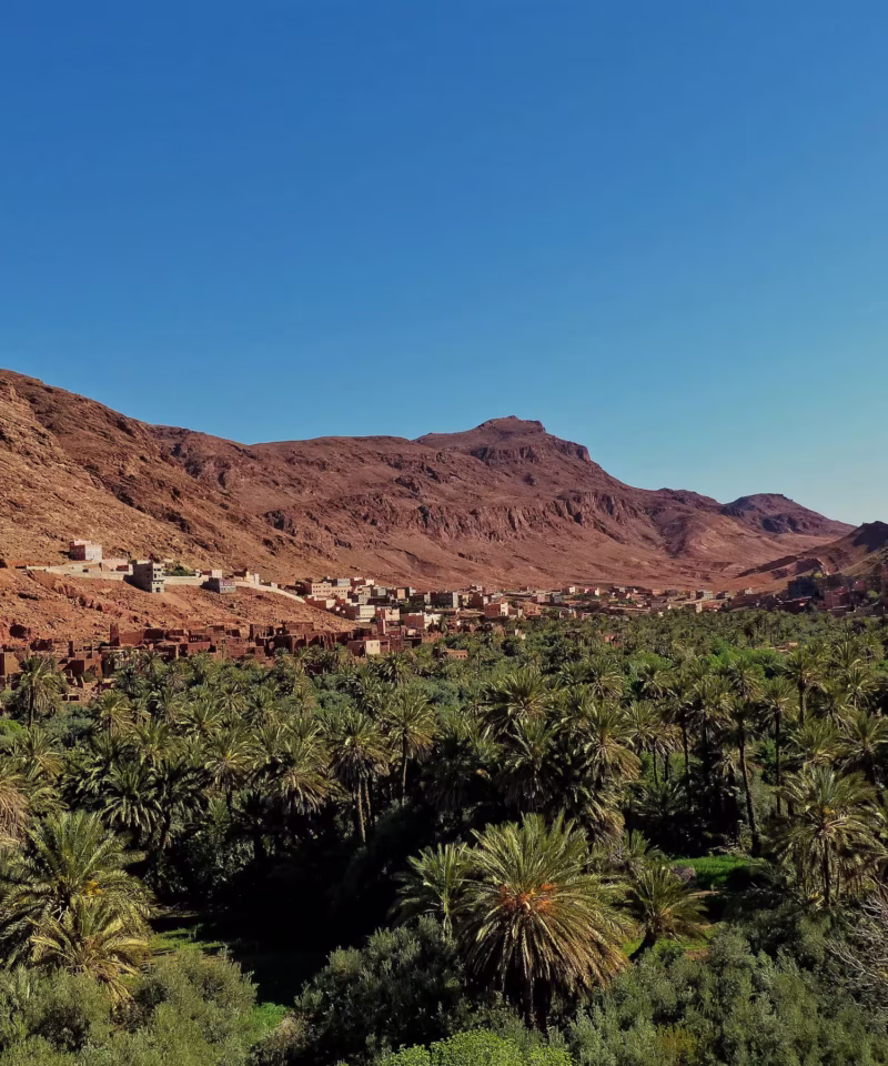 Excursion 2 days Marrakech To Fint Oasis Ouarzazate