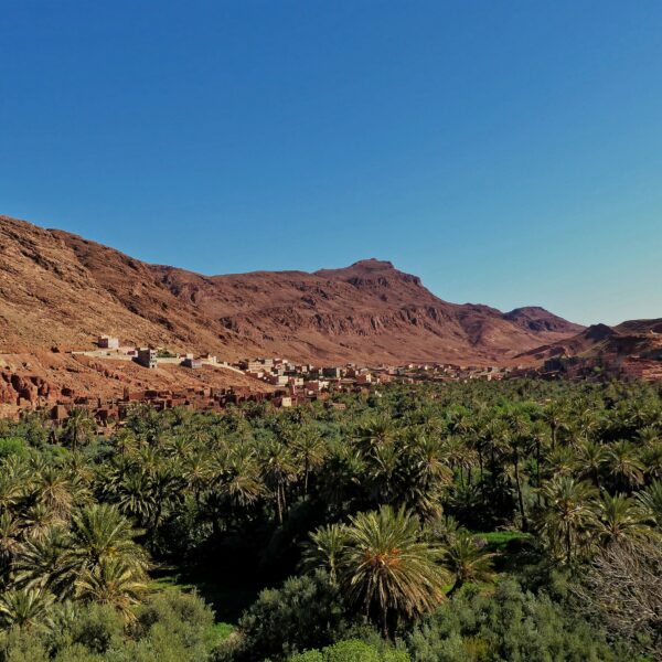 Excursion 2 days Marrakech To Fint Oasis Ouarzazate
