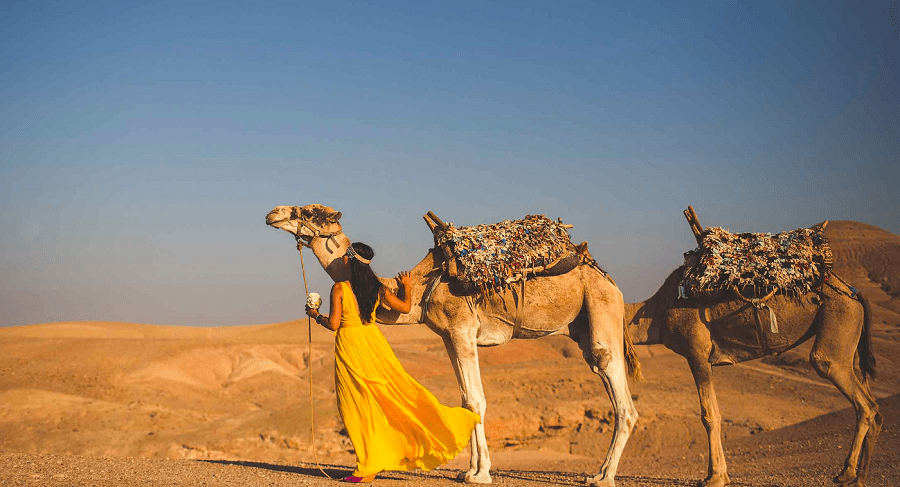 Best Activities in Marrakech, Marrakech Day trip