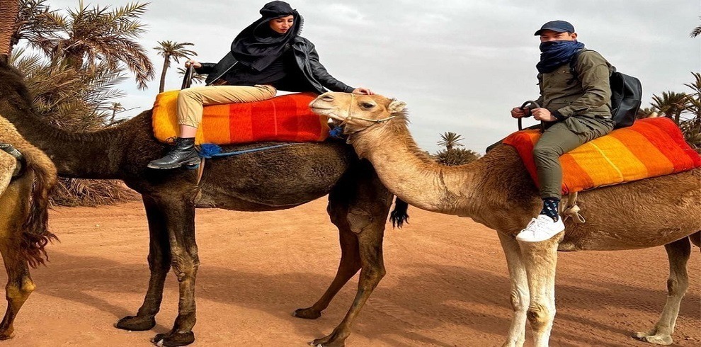 Marrakech Camel ride