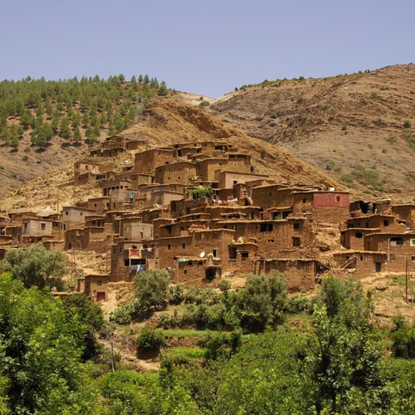 Ourika Valley Day Trip From Marrakech