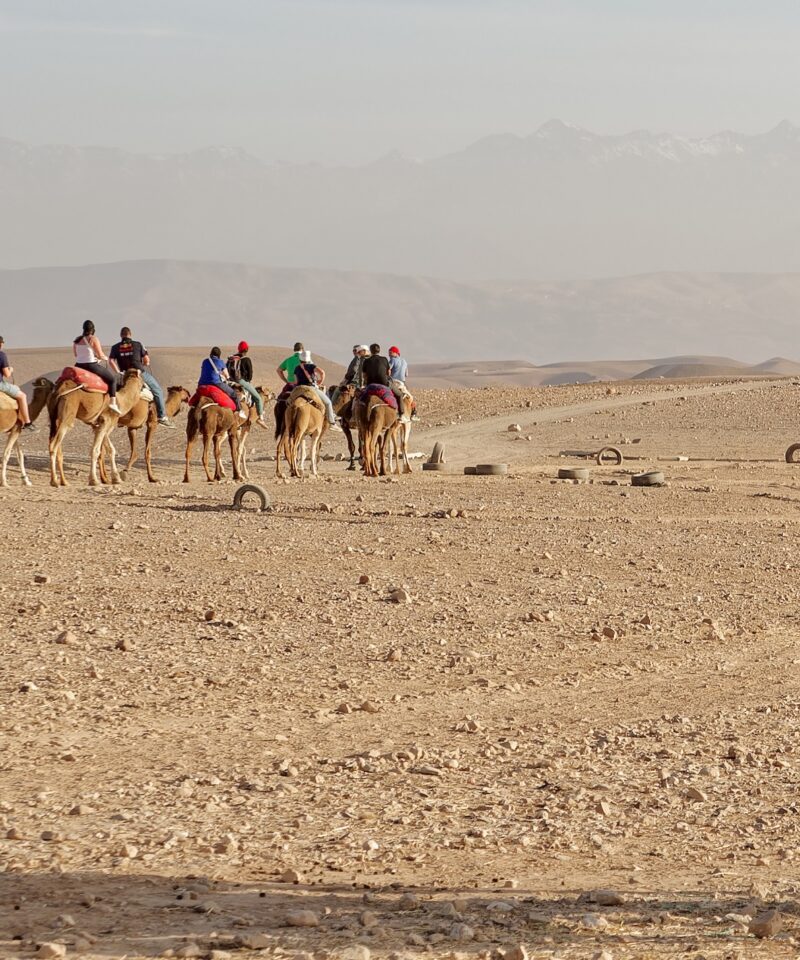 Agafay Desert Package - Quad Bike - Camel Ride and Dinner Show