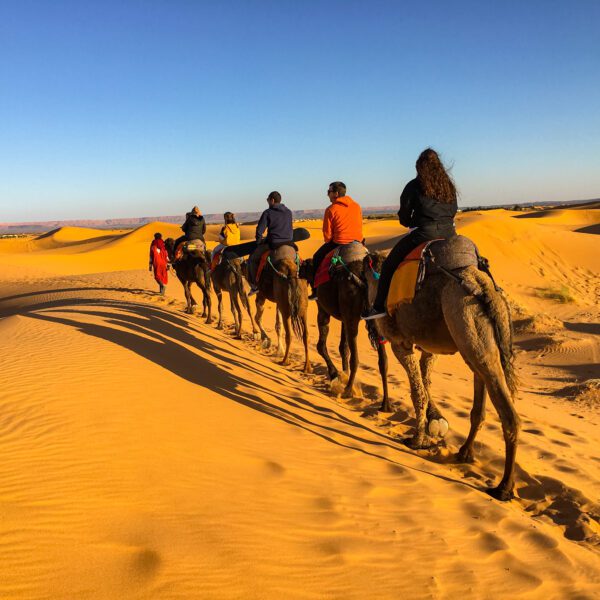 Group Tour Marrakech To Fes 3 Days