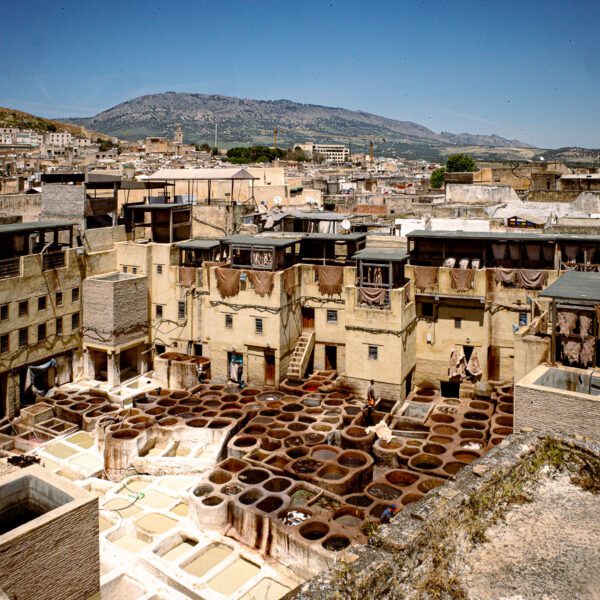 Day Trips from Casablanca To Fes